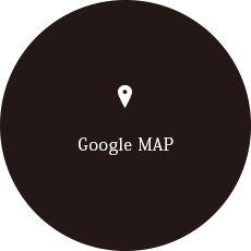 googleMAP